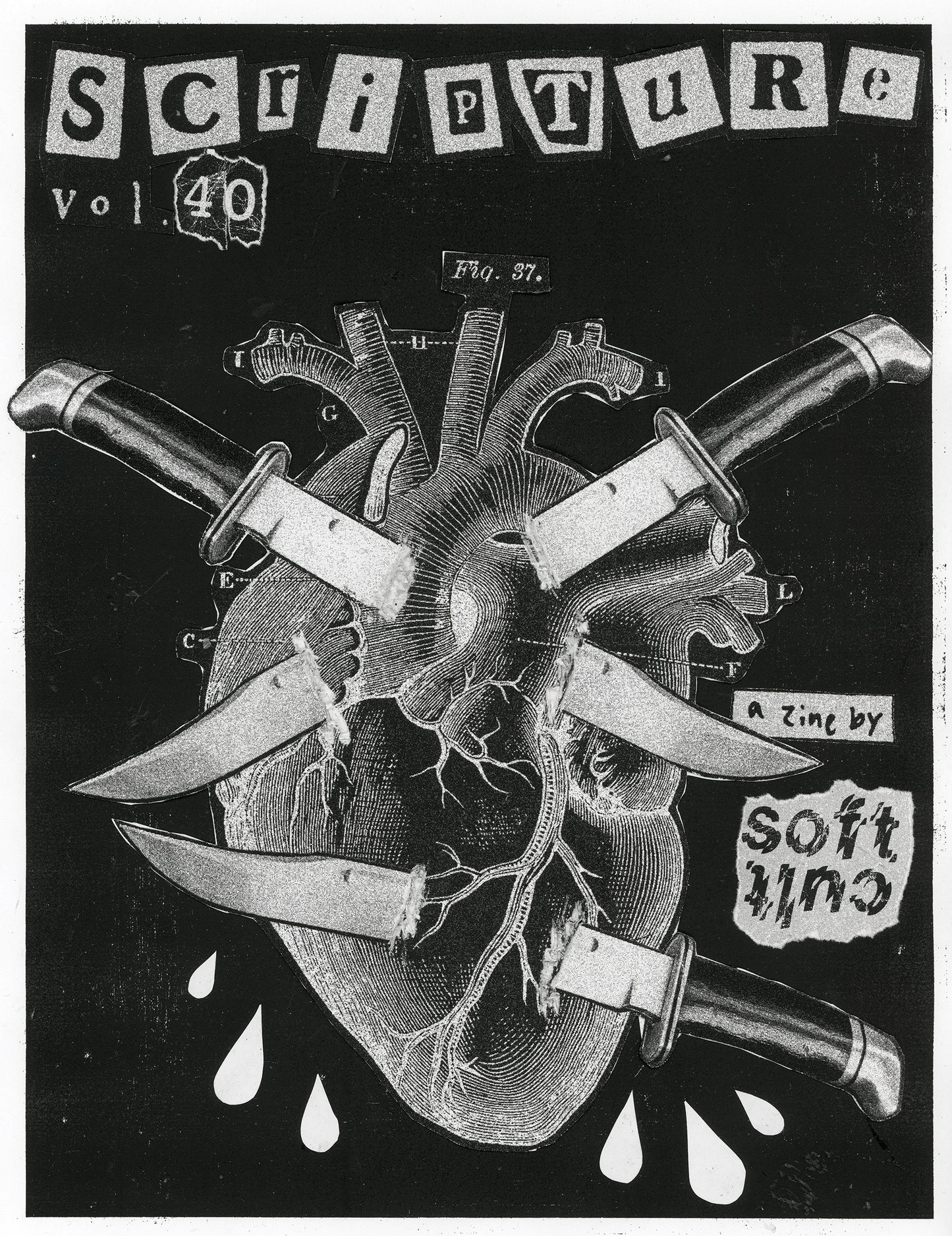 SCripture Zine - Individual Issues